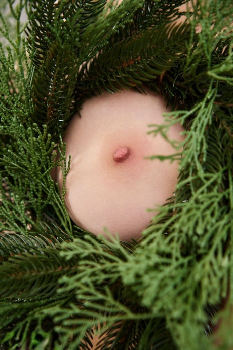 Gorgeous teen Toree gets completely naked after decorating a Christmas tree 75905205